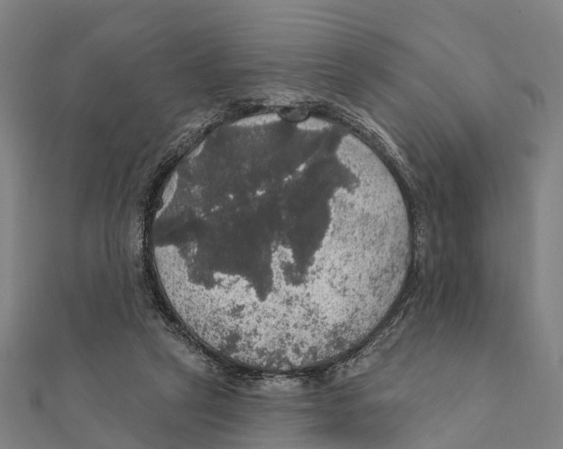 X0000111580257200908131325