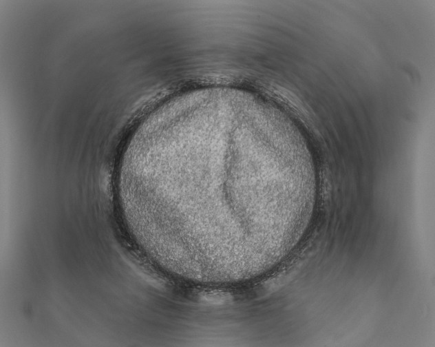 X0000111580258200908131325