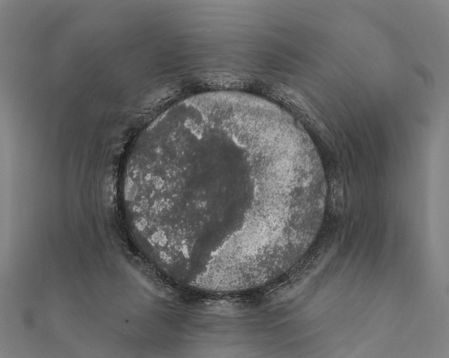 X0000111580259200908131325