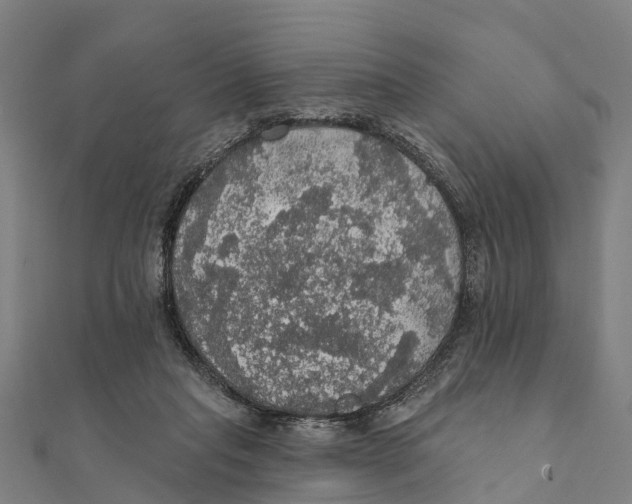 X0000111580261200908131325