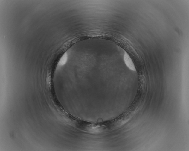 X0000111580267200908131325