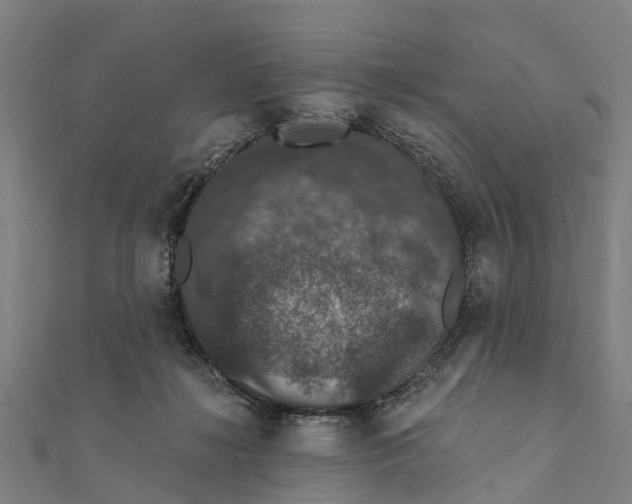 X0000111580268200908131325