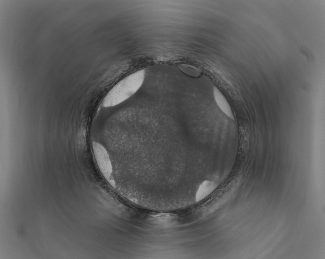 X0000111580269200908131325