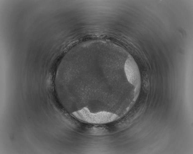 X0000111580270200908131325