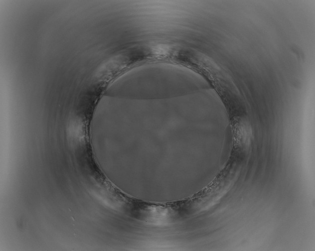 X0000111580272200908131325