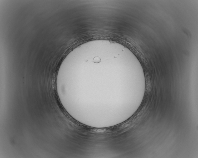 X0000111580273200908131325