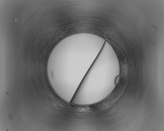 X0000111580274200908131325