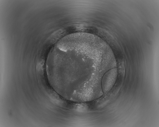 X0000111580275200908131325