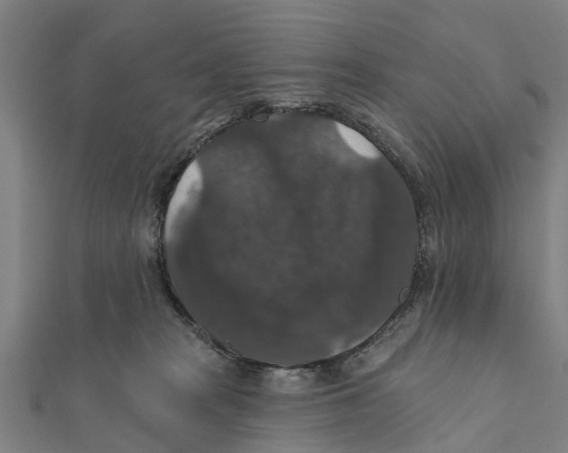 X0000111580277200908131325