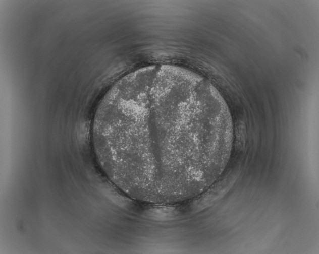 X0000111580278200908131325