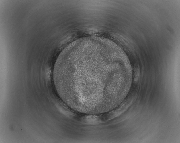 X0000111580279200908131325