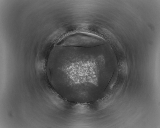 X0000111580280200908131325