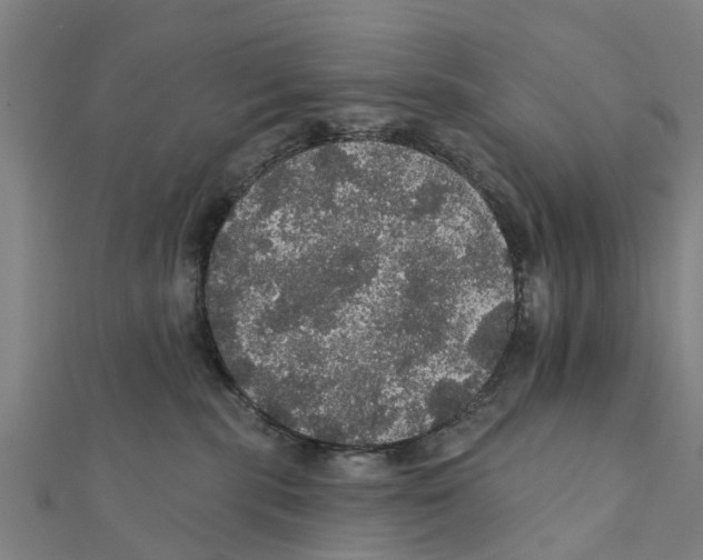 X0000111580283200908131325