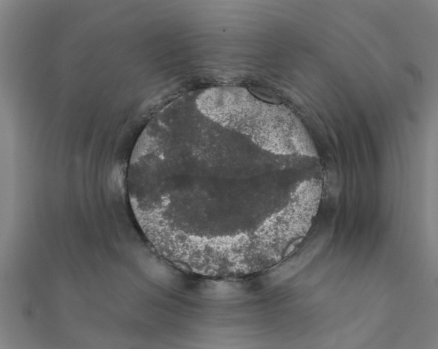 X0000111580286200908131325