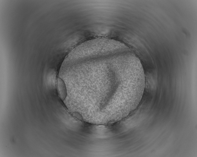 X0000111580287200908131325