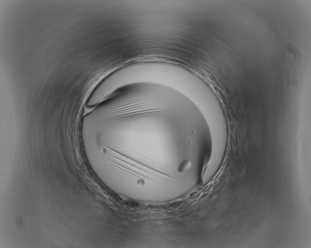 X0000111580289200908131325