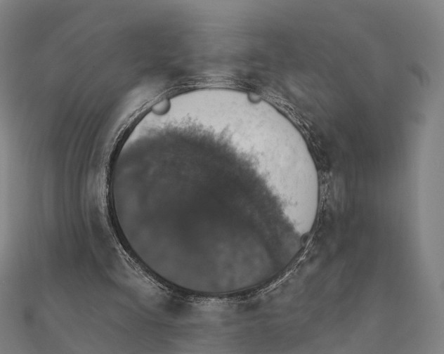 X0000111580293200908131325