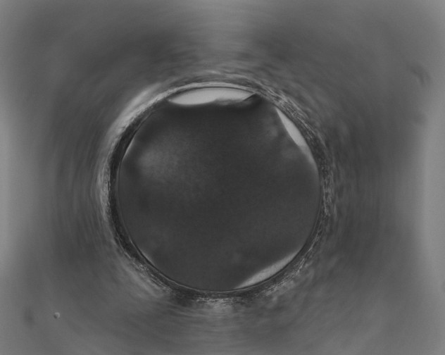 X0000111580295200908131325