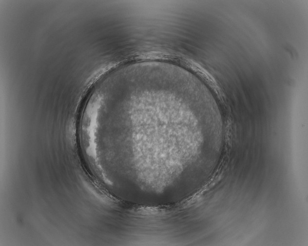 X0000111580298200908131325