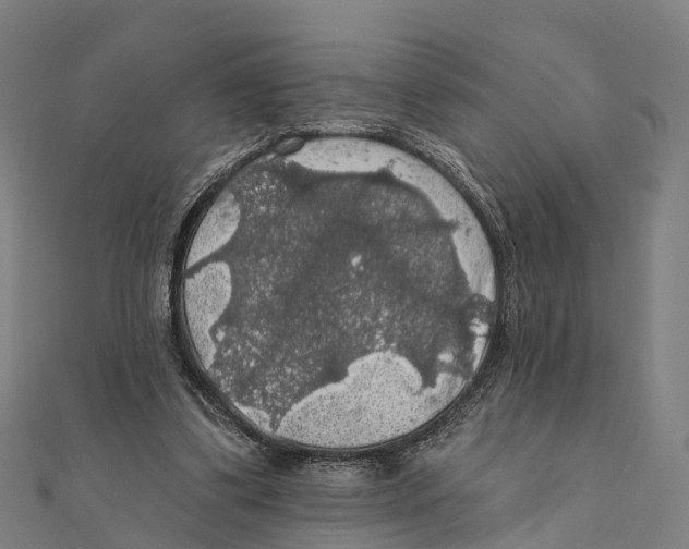 X0000111580299200908131325