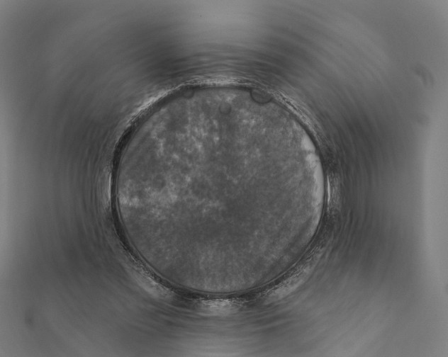 X0000111580301200908131325