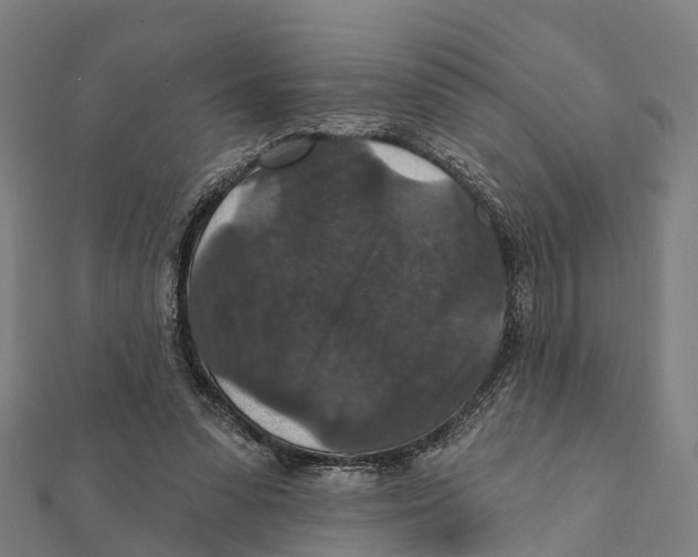 X0000111580303200908131325