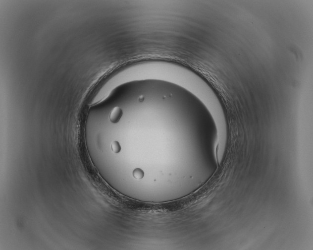 X0000111580304200908131325