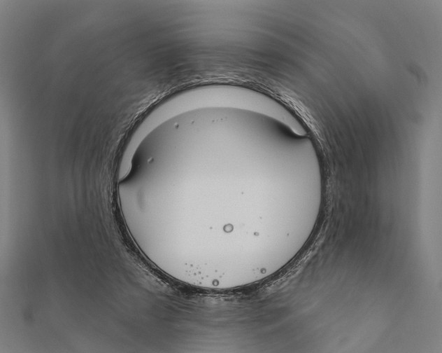 X0000111580305200908131325