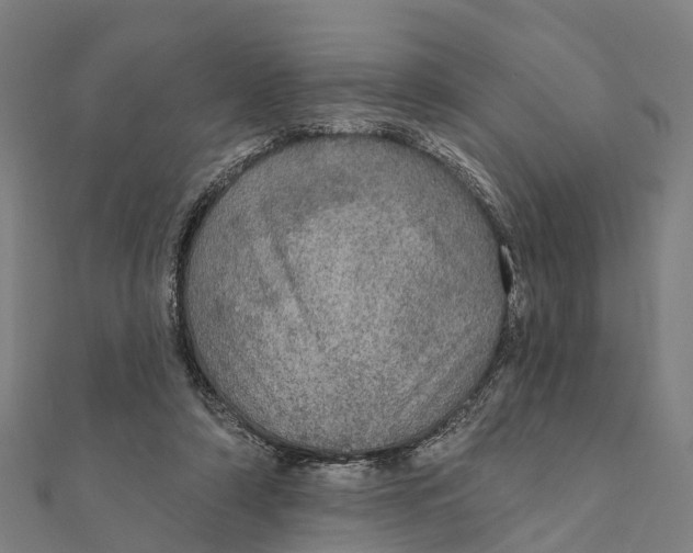 X0000111580306200908131325