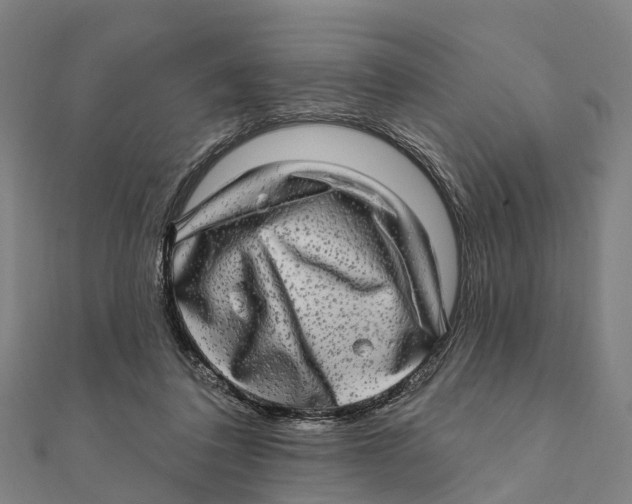 X0000111580308200908131324