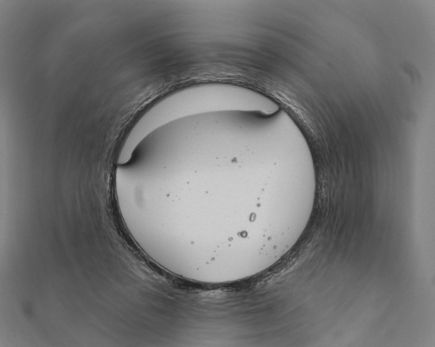 X0000111580309200908131324