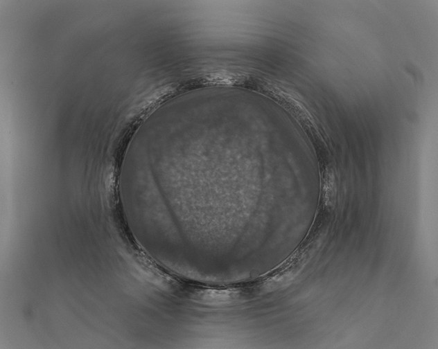 X0000111580314200908131324