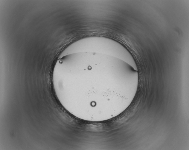 X0000111580317200908131324