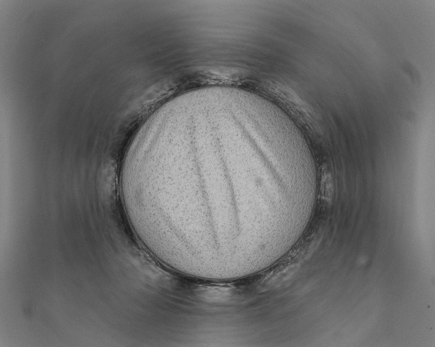 X0000111580318200908131324