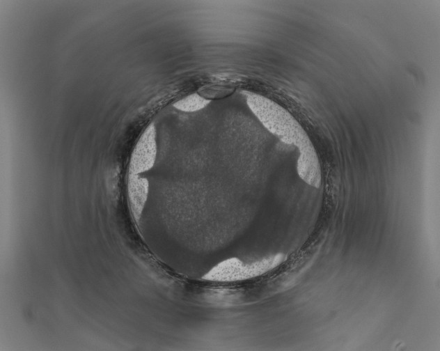 X0000111580319200908131324