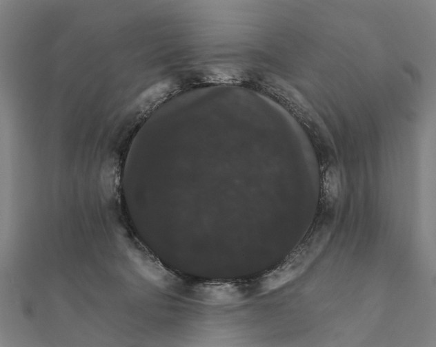 X0000111580322200908131324