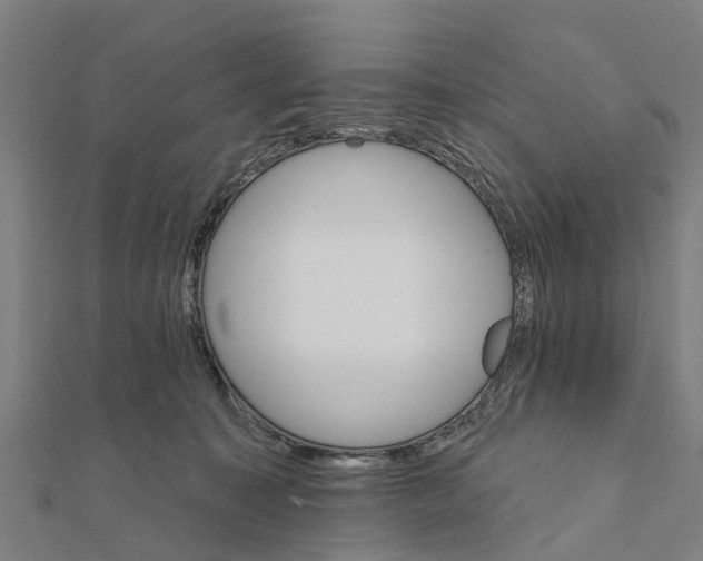 X0000111580323200908131324