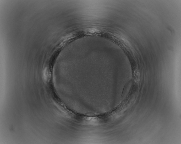 X0000111580324200908131324