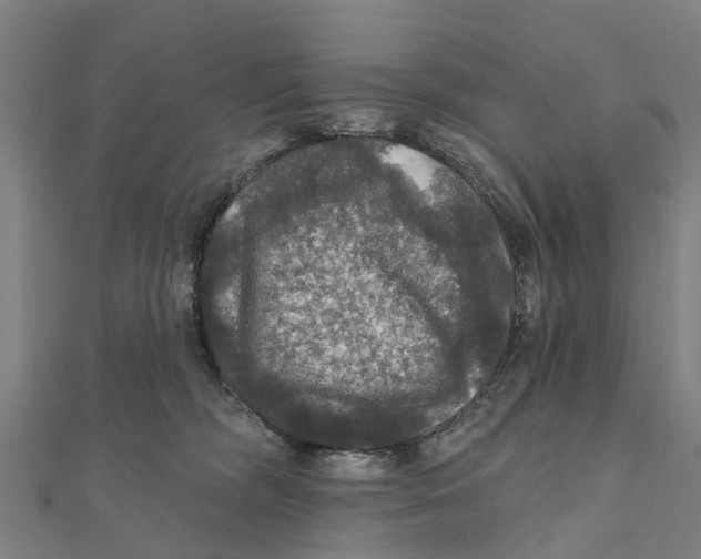 X0000111580326200908131324