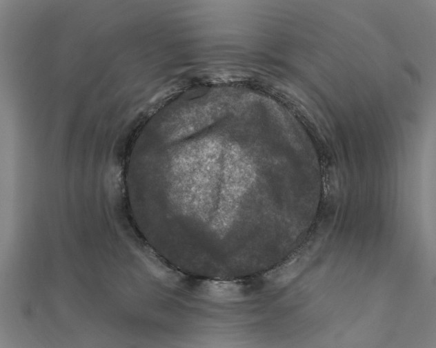 X0000111580327200908131324