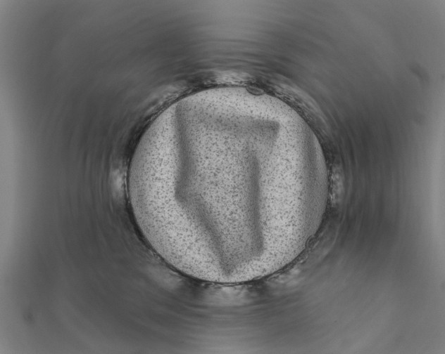 X0000111580329200908131324