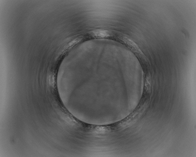 X0000111580330200908131324