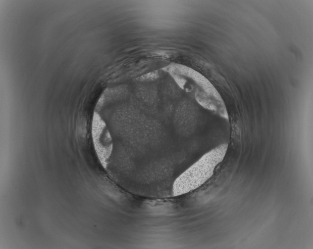 X0000111580331200908131324