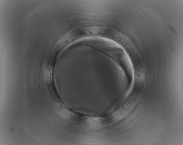 X0000111580332200908131324