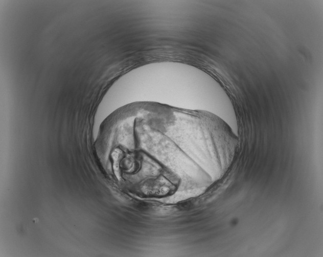 X0000111580333200908131324