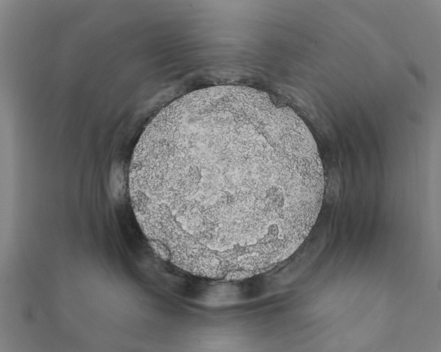 X0000111580335200908131324