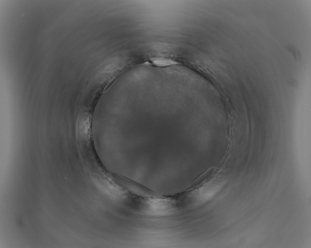 X0000111580336200908131324