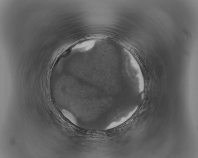 X0000111580337200908131323