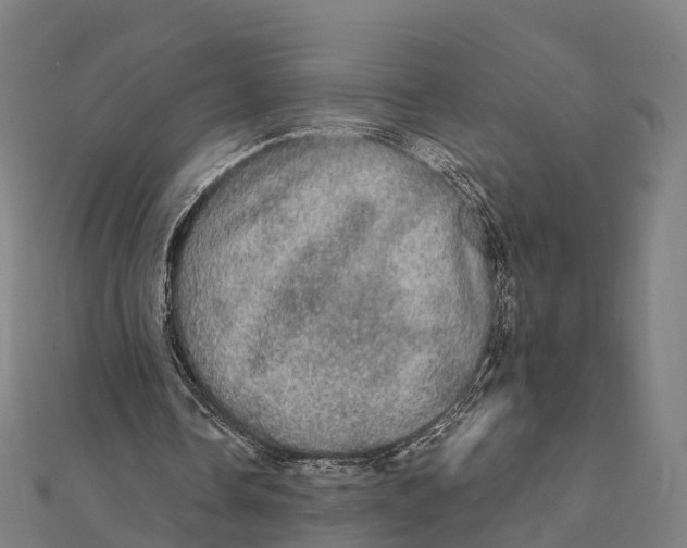 X0000111580338200908131323