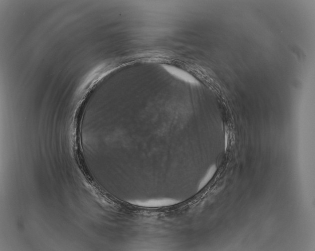 X0000111580339200908131323